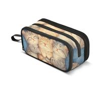Quteprint Astuccio con cerniera, tre simpatici gattini addormentati, grande capacità, resistente, con 3 scomparti, organizer per scuola, università, ufficio, per studenti, adolescenti, adulti, ragazzi