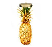 Quteprint Golden Tropical Pineapple - Portablocco in acrilico, 22,9 x 31,8 cm, trasparente, antigraffio, con clip in metallo (oro) e gancio da parete, spessore 0,6 cm, per ufficio, classe, infermieri