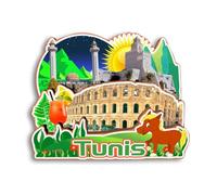 Quwsne Magnete da frigorifero Tunisi Tunisia magnete da frigorifero souvenir di viaggio città regali turistici 3D classici punti di riferimento artigianali fatti a mano decorazione domestica -2991