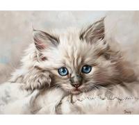 Quxaoqiao Adulti e Principianti Diamond Painting Pieno Pittura Art 5D Kit Gatto Carino Motivo Disegno Ricamo DIY Diamante Trapano Per Decorazione Casa e Pareti Craft Arts Trapano Tondo 55x75cm AE1129