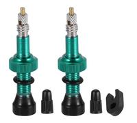 QUXVUIS 2 pezzi Valvole Tubeless Mountain Road Bike Nucleo Colore solido Ugello per vuoto francese Accessori per pneumatici alternativi Ciclo, Verde, 54 mm