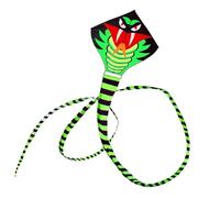 QUXVUIS Aquilone a forma di serpente Aquiloni a coda lunga per esterni Linea di volo Giocattoli Giardino primaverile Giocattolo per bambini Sportivo Buono per il prato del cortile , 11M