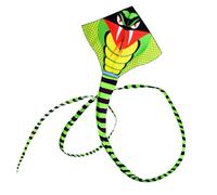 QUXVUIS Aquilone a forma di serpente Aquiloni a coda lunga per esterni Linea di volo Giocattoli Giardino primaverile Giocattolo per bambini Sportivo Buono per il prato del cortile , 30M