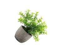 QUXVUIS Durevolezza di lunga durata Albero dei soldi artificiale in vaso Pianta di finta giada in vaso per interni o esterni Aspetto realistico, il respiro del bambino bianco