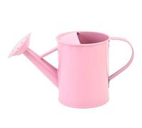 QUXVUIS Mini annaffiatoio per piante da esterno con design,rosa | incoraggia i bambini ad apprendere efficacemente le tecniche di annaffiatura.