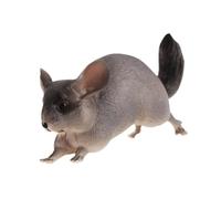QUXVUIS Sculture realistiche e dettagliate, statuette di animali, regali di compleanno unici dipinti a mano, pezzi decorativi per aree gioco per bambini, Cincillà