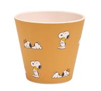 QUY CUP tazzine espresso (marrone)