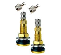 Quystetes Stecchi Valvola Pneumatici TR618A, Steli Valvola Trattore Aria/Liquido Camera d'Aria per Pneumatici Camera d'Aria, Ruote Agricole Industriali