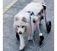 QWAXTRIW Sedia a rotelle per Cani 4 Ruote Possono Essere 2 Ruote, Sedia a rotelle a Supporto Completo per Cane, Ginocchio per Cani Regolabile per Doppia Gamba Posteriore (Medio Rosa)