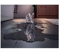QWEWQE Stampa su tela con animali astratti, motivo tigre di gatto riflesso, poster divertente, stampa artistica semplice, decorazione per il soggiorno (30 x 50 cm)