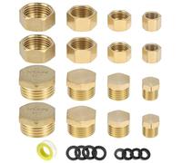 QWORK® 16 pezzi tappi ciechi in ottone per tubi dell'acqua da 1/8 1/4 1/2 3/8 pollici, filettatura interna ed esterna, con anelli in gomma e tappo acqua