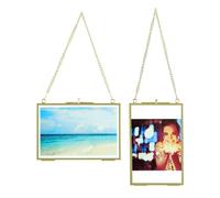 QWORK® 2 pezzi cornice dorata in vetro con catena di metallo per appenderla, clip per campioni di piante, per foto, campioni di piante, certificati, 10x15cm