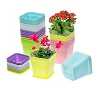 QWORK® 24 pezzi di vasi quadrati in plastica colorata con vassoi, vasi per piantine da 7 cm per piante grasse, cactus, erbe aromatiche e verdure