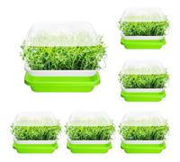 QWORK® 6 Pezzi Germinatore per Semi, Vassoi per Semi con Coperchio, Vassoio Germinazione, per Fagioli Mung, Erba Medica, Erba di Grano