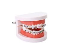 QWORK Modello dimostrativo di ortodonzia Typodonts, Modello di ricerca dentale dei denti con fili metallici e staffe in ceramica, Modello di spiegazione per insegnare l'insegnamento per adulti