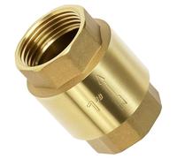 QWORK® Valvola di non ritorno in ottone - Filettatura interna 1" (DN25) - Ideale per pompa dell'acqua/scaldabagno/compressore d'aria