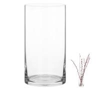 QWORK® Vaso di Vetro Moderno 20x10 cm - Vaso Rotondo Trasparente per Decorazioni Soggiorno