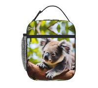 Qwvbn A Little Koala Prints, borsa portatile per il pranzo, leggera e isolata, adatta sia per uomini che per donne, ideale per picnic e viaggi