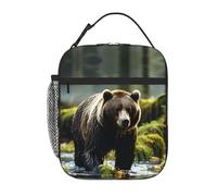 Qwvbn Brown Bear Pounce Prints, borsa per il pranzo portatile, leggera e isolata, adatta sia per uomini che per donne, ideale per picnic e viaggi