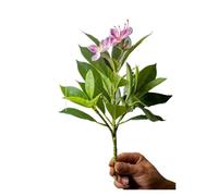 QWWQYDY Edera Finta Piante di azalee artificiali da 21-40 cm, finto albero della gomma, foglie palma tropicali, ficus con fiori, piante verdi plastica for la casa(31cm Pink)