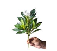 QWWQYDY Edera Finta Piante di azalee artificiali da 21-40 cm, finto albero della gomma, foglie palma tropicali, ficus con fiori, piante verdi plastica for la casa(31cm White)
