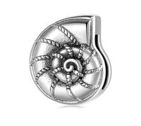 QYYZTHX Sea Shell Conch Clip Charm Genuine 925 Sterling Silver Compatible with Reflexions Bracelet Reflections