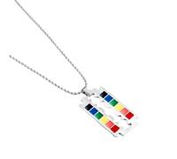 QYYZTQY Collana Trans in Argento Sterling 925 per Unisex, Collane con Pendente a Barra Verticale Arcobaleno Gay Pride Girocollo Arcobaleno Orgoglio lesbico, Collana bisessuale, Collana Transgender,
