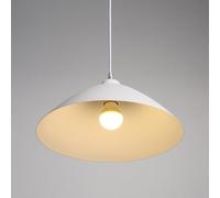 QYYZTQY Lampada a Sospensione Moderna Cupola da soffitto Lampada a Sospensione Paralume Singolo Cucina Isola Apparecchio di Illuminazione Luci a Sospensione in Metallo Nordico per Camera da Letto
