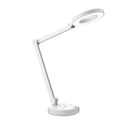 QYYZTQY Lampada da scrivania Lampada da scrivania a LED, Lampada da Tavolo con Braccio oscillante Regolabile, Lampada da Ufficio dimmerabile per Protezione degli Occhi con 2 Porte di Ricarica USB, 4