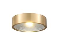 QYYZTQY Luci da Esterno Rame in Rame in Basso Contenuto di soffitto con soffitto Luci a soffitto Diametro da 8 cm del Soggiorno Nordico Lampade a Parete a Parete montata per Parete Lampada Accento