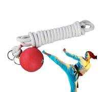 Qzdtue Martial Arts Soft Equipment, Training Rope Dart Skill Development Tool, 137.8 inch/0.31 pollici Thick, User-Friendly Cinese Traditional Trainer for Building Muscoli