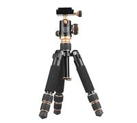 QZSD Q166 Luce Stabile Portatile Dslr Videocamera Treppiede Testa a Sfera con Custodia per Canon Nikon Sony Olympus Fit Viaggi Vacanze