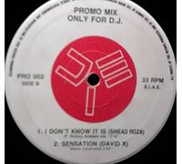 R.A.F. - Promo Mix 30 (E-Go / Ride Like The Wind / We've Got To Live Together / Revolution)