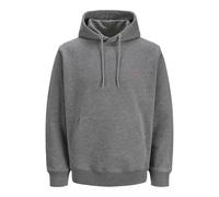 R.d.d. royal denim division Uomo Rddkalid Hood Sweat L/S Noos, Grigio, S