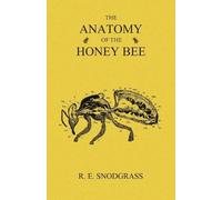 R E Snodgrass The Anatomy of the Honey Bee (Tascabile)