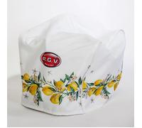 Copertura per affettatrici RGV COPERTURA LIMONI