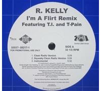 R Kelly - I'm a Flirt