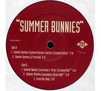 R Kelly & Public Announcement - Summer Bunnies