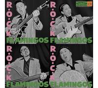 R.O.C.K FLAMINGOS
