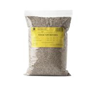 R&R SHOP - Semi per Prato, Festuca Arundinacea, Resistente e Duratura (1.5Kg - 60Mq)