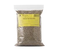 R&R SHOP - Semi per Prato, Festuca Arundinacea, Resistente e Duratura (500gr - 20Mq)