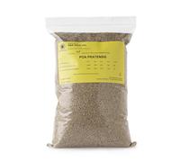 R&R SHOP - Semi Per Prato, Poa Pratensis, Autorigenerante E Resistente (5Kg - 200mq)