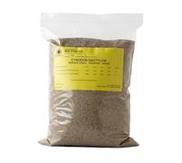 R&R SHOP - Semi per Prato Resistente, Gramigna Cynodon Dactylon, Origine Usa, Resistente a Caldo & Siccità, Calpestabile (200gr-20mq)