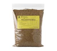 R&R SHOP - Semi per Prato, Trifoglio Nanissimo Trifolium repens, Non richiede Taglio, Calpestabile e Tappezzante (200g - 50m²)
