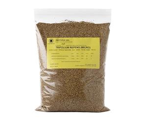 R&R SHOP - Semi per Prato, Trifoglio Nanissimo Trifolium repens, Non richiede Taglio, Calpestabile e Tappezzante (900g - 225m²)