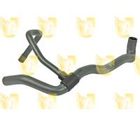 R4304 UNIGOM Flessibile radiatore per RENAULT