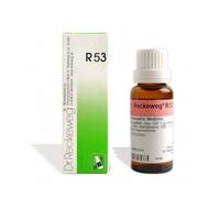 R53 Reckeweg Gocce 22 ml