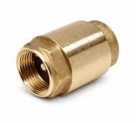 Valvola di ritegno Giacomini a disco 1 1/4 pollici R60Y036