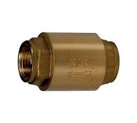 Valvola di ritegno a disco Giacomini 2 pollici 1/2 R60Y039