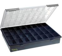 Raaco Assorter 4-32 scatola organizer, 32 scomparti 26 x 33.8 x 5.7 cm | Box compatto per officina con 32 scomparti fissi, chiusura scorrevole sicura, portatile e leggero, 26 x 33.8 x 5.7 cm, modulo